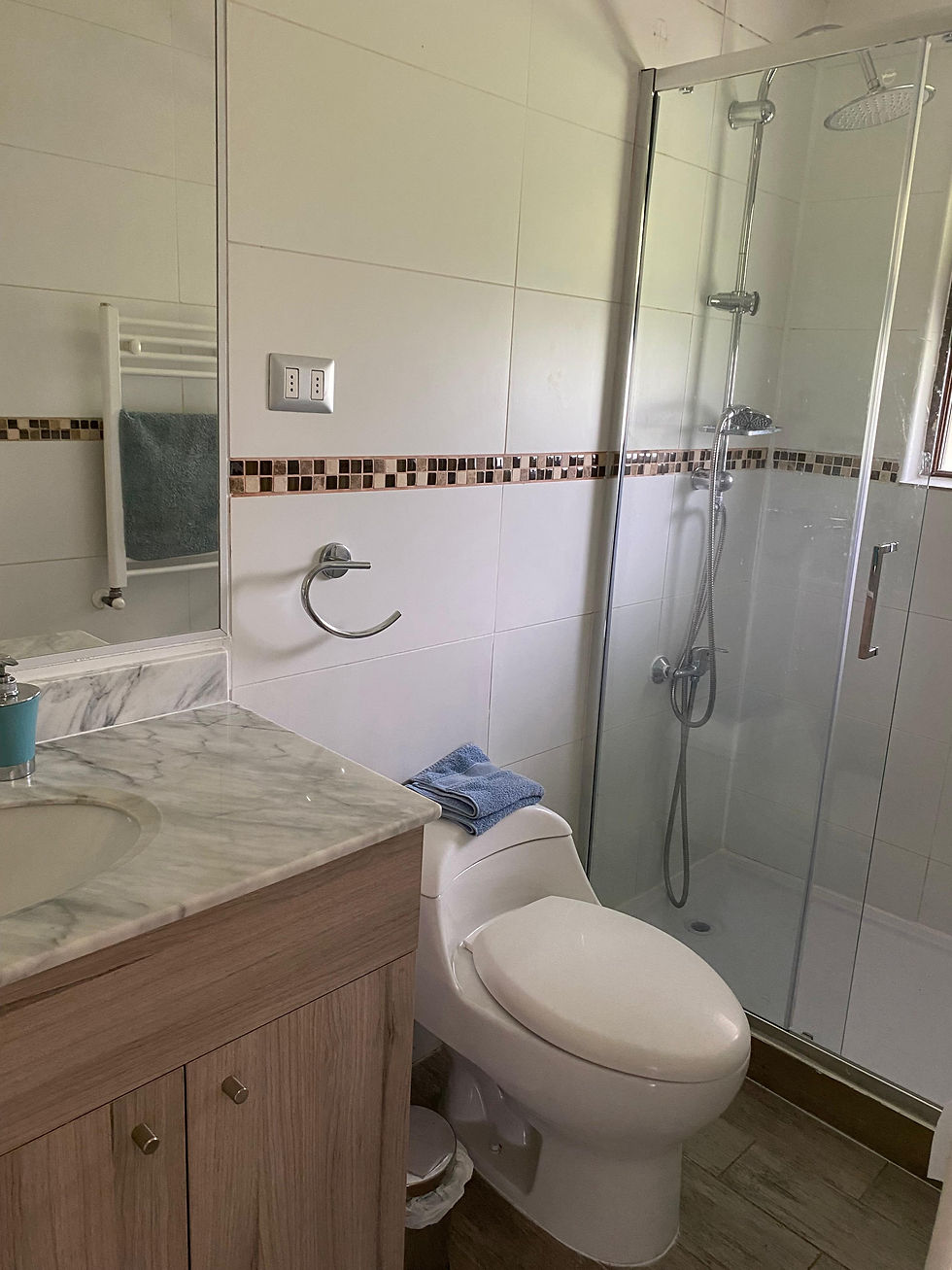 Miniatura: S017 Pucón