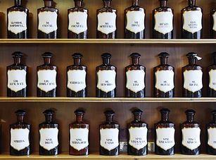 Curso bonidificado HERBODIETETICA Y HOMEOPATIA