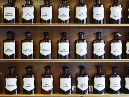 Understanding the Basics of Homeopathy