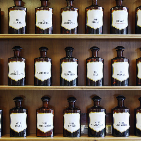 Natural Remedies for Minor and Major Ailments: A Complete Guide
