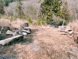 IMG20210314092819.jpg