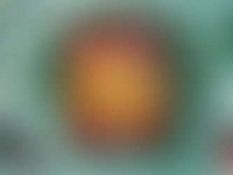 Get Festive with The South Wales Magazine – December Issue Out Now!