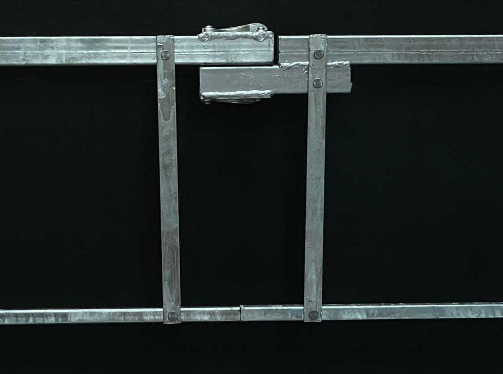 Lynch Advanced Guardrail System 2.jpeg