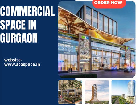 Buy SCO Plots Gurgaon M3M 113 Market Sector 113 Highlights