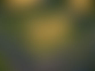 New Launch Sonipat green residential projects Residential Plots