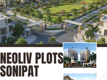 Modern Sonipat township land Features and Amenities