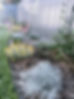CDF7B2B1-DAF4-4D6E-83F3-F486ACA7AD13.jpeg