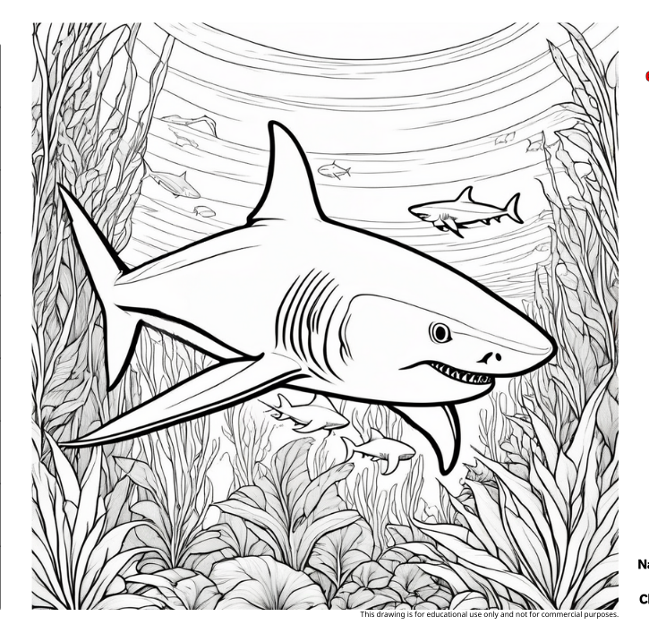 鯊魚填色圖，探索這位強大的海洋捕食者在水中的生活與冒險。