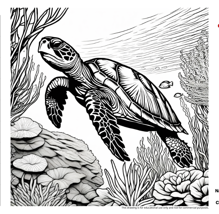 海龜填色圖，探索這位優雅的海洋居民在海洋中的生活與冒險。