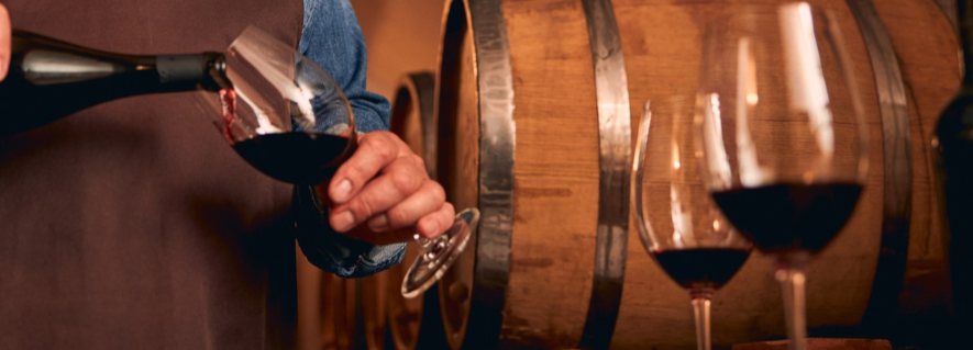 Degustazione Vini biologici nella Tenuta Natalina Grandi Gambellara