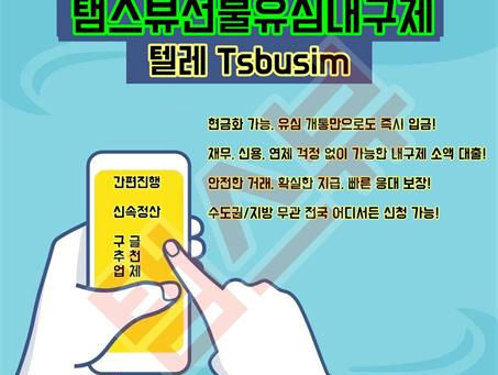 탬스뷰선불유심내구제