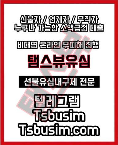 탬스뷰 선불유심 소액급전내구제