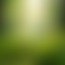 The Importance of Sustainable Living in Today's World