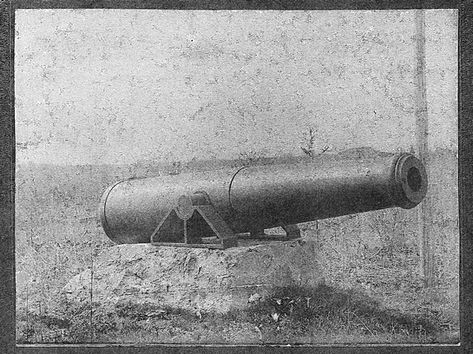 Cannon Installment 3.jpeg