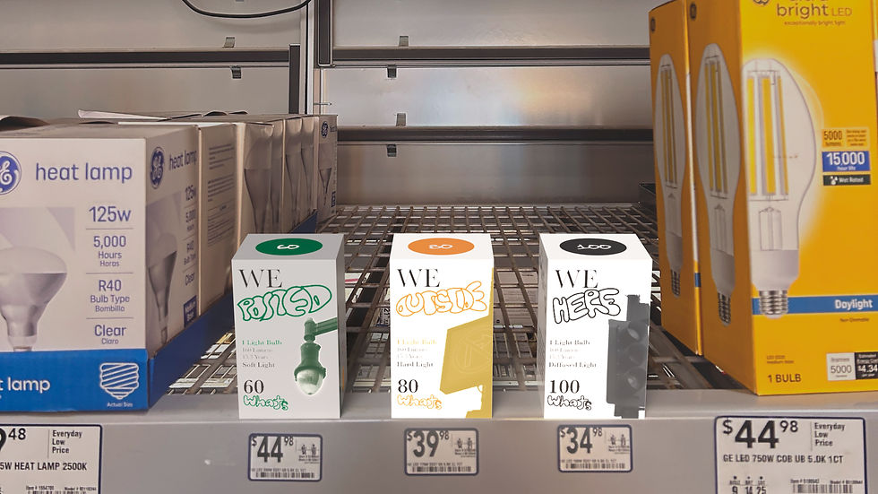 Retail Light Bulb-Camera_edited.jpg