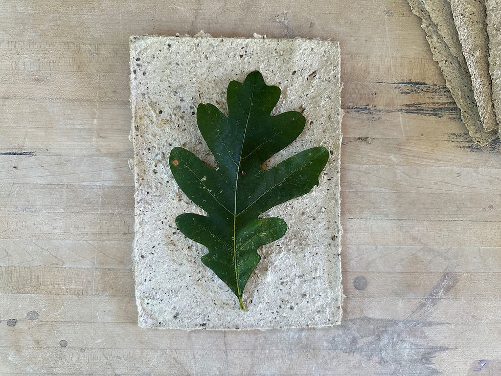 Gathering the Moon: FALL EQUINOX EDITION