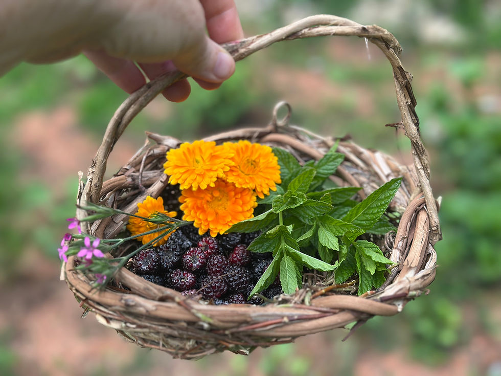 Thumbnail: Handmade WildVine Baskets