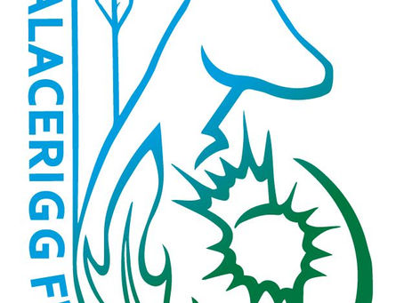 Palacerigg Hunter Classification