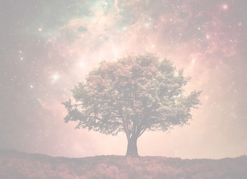 the universe, sky, colors, tree.jpg