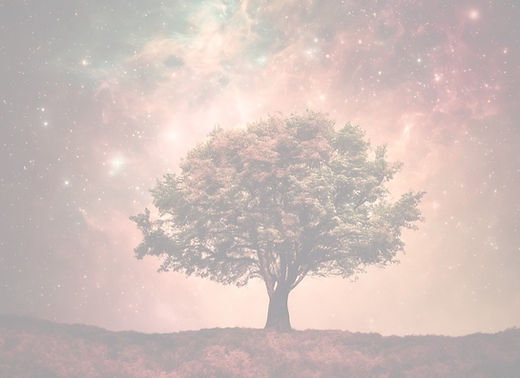the universe, sky, colors, tree.jpg