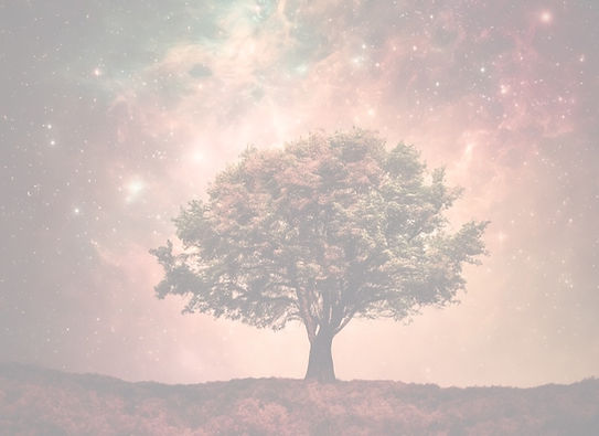the universe, sky, colors, tree.jpg