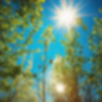 sun bright blue summer.jpg