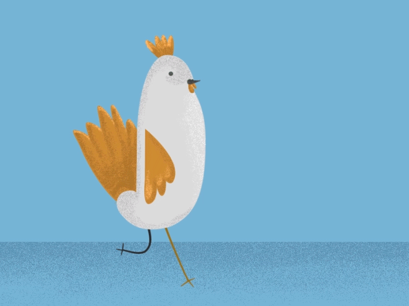 chicken run