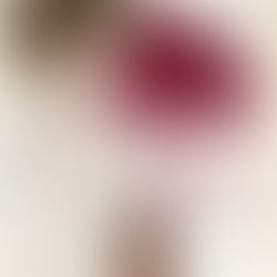 ICMA 2018 Nominierung für "Los temperamentos"