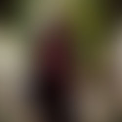 Dialoge des Erinnerns