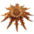 Eguzkilore de cuero para colgar naranja centro canela