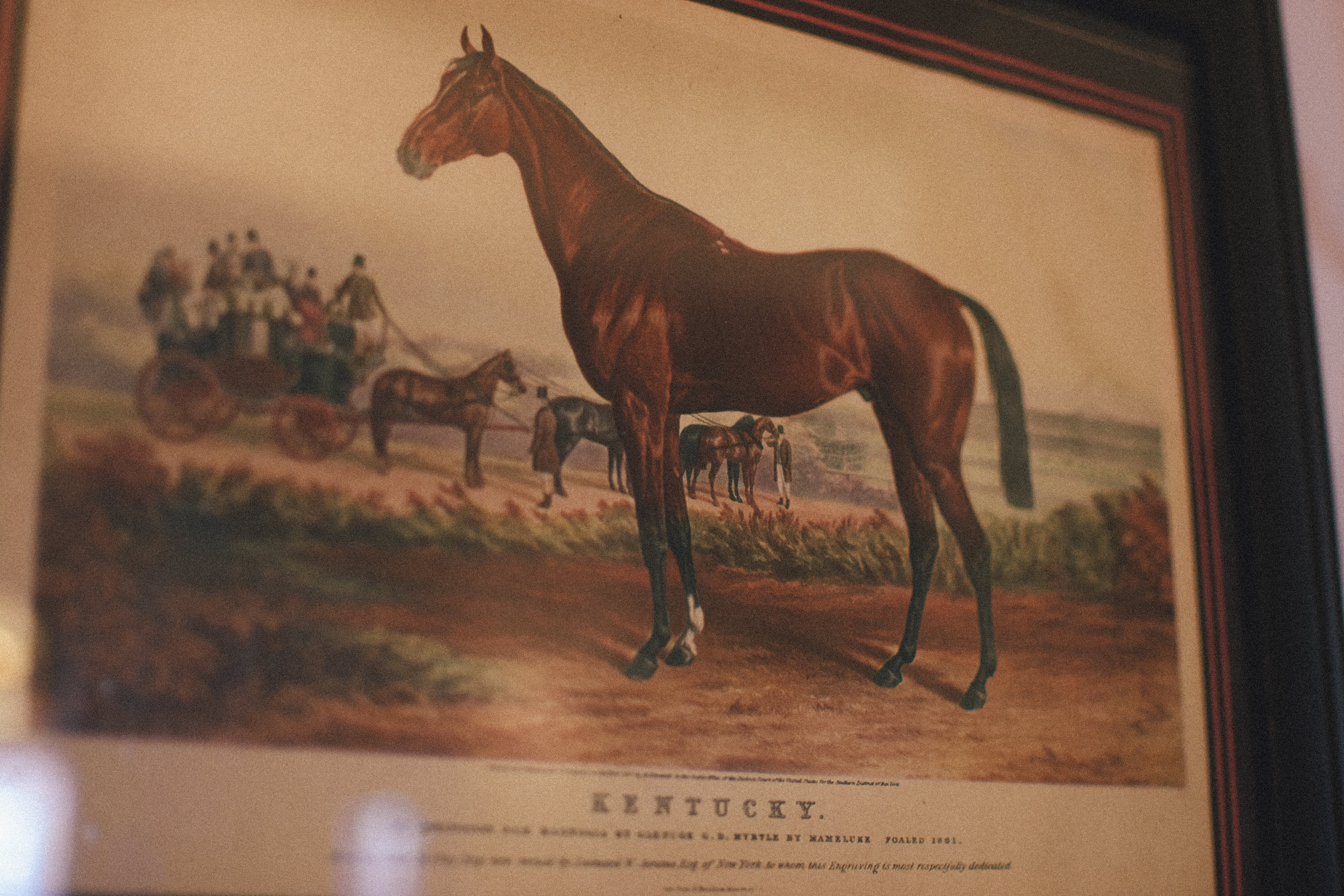 Cadre cheval studio madame wood