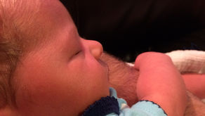 They Took A Fence (Baby blog 1)