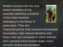 The Gospel of Creation