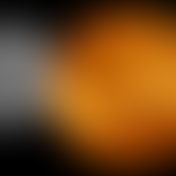 Planets of the Solar System: Mercury and Venus