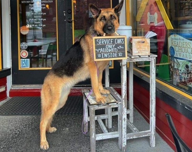 Fetch Bar and Grill storefront sign in the Village of Warwick NY