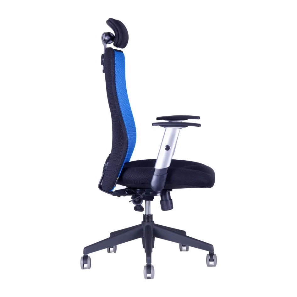 Miniatura: CALYPSO XL SP4