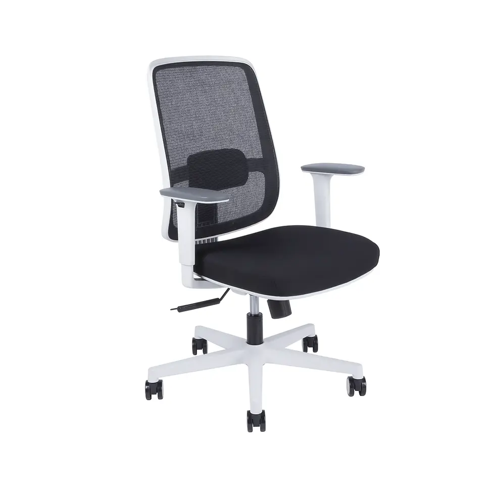 Miniatura: CANTO WHITE