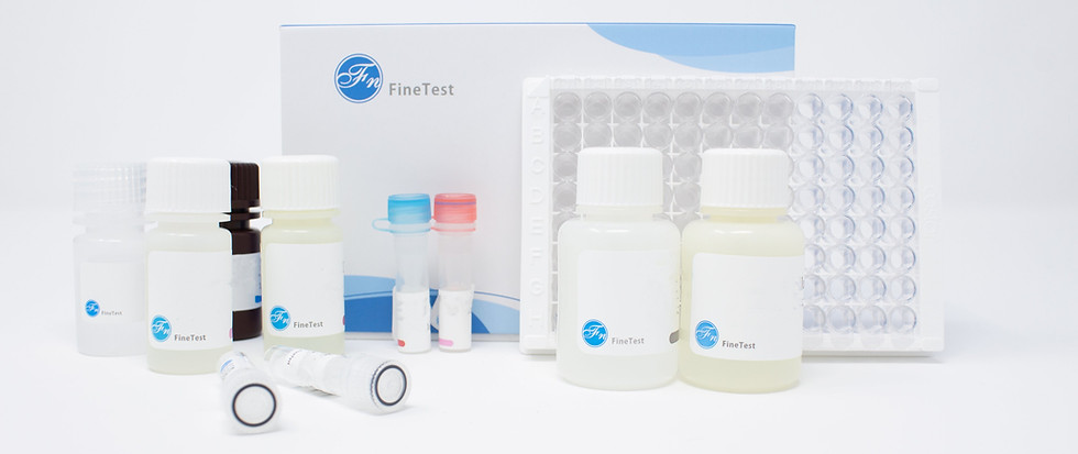 EOuXgplW4AEjziN (1).jpg