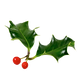 Holly Leaves And Berries_edited.png