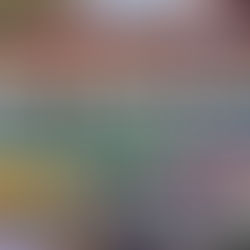 환상수덱(Phantom Beasts Deck)