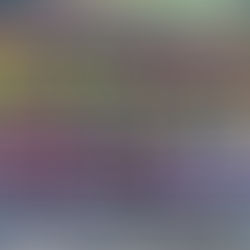 모스덱(Moth Deck)