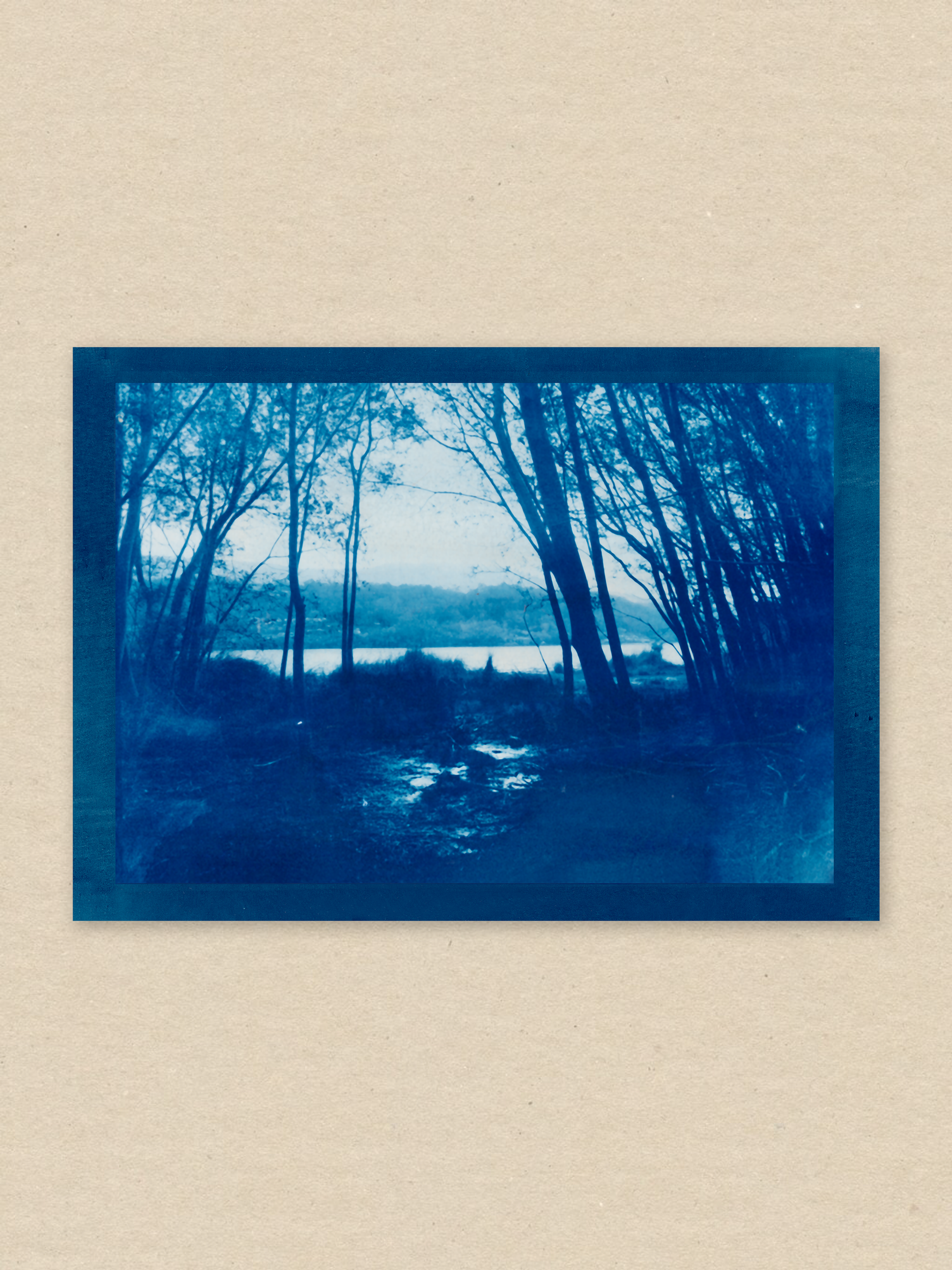 Indigo Dreams / 03