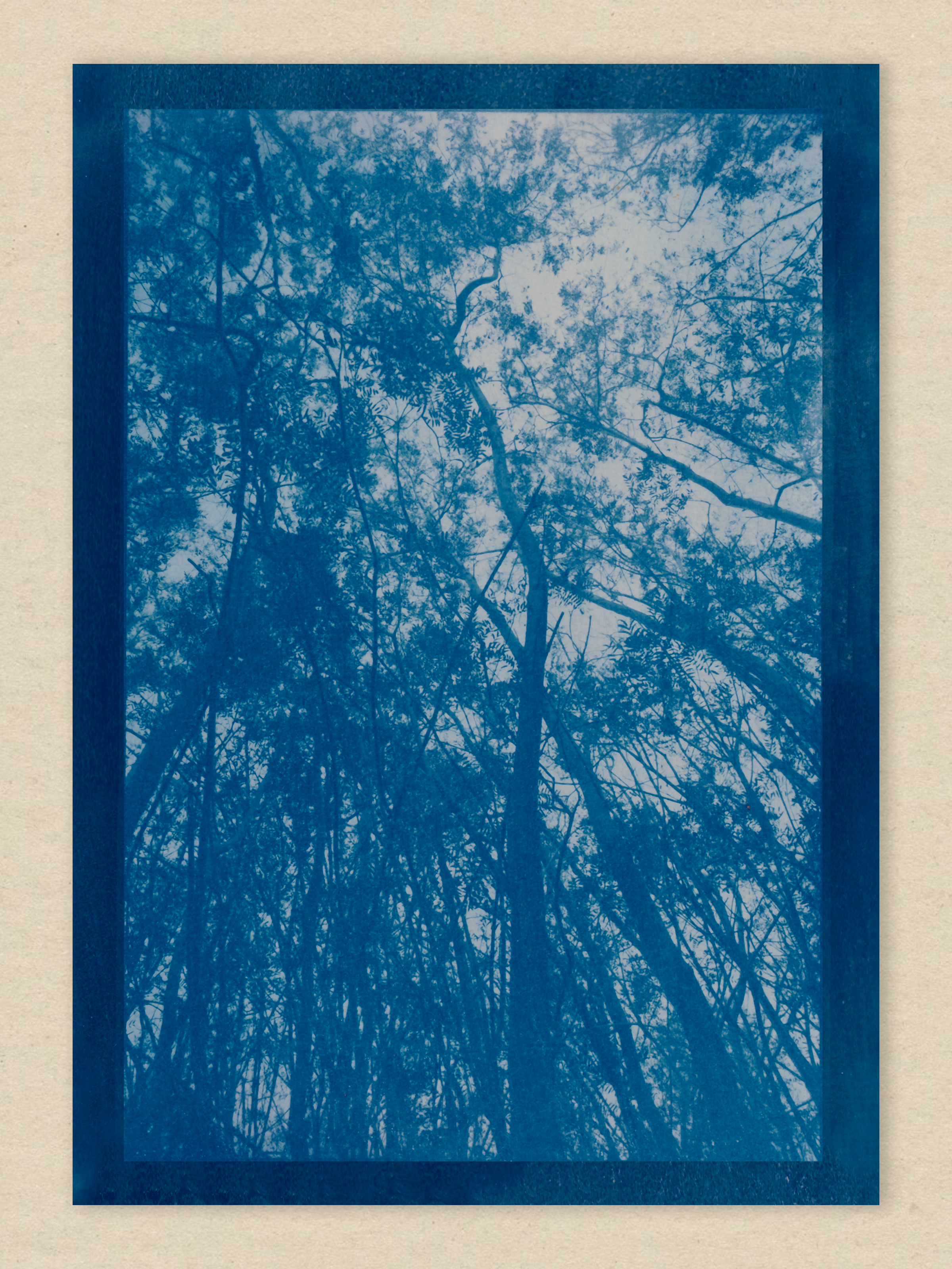 Indigo Dreams / 02