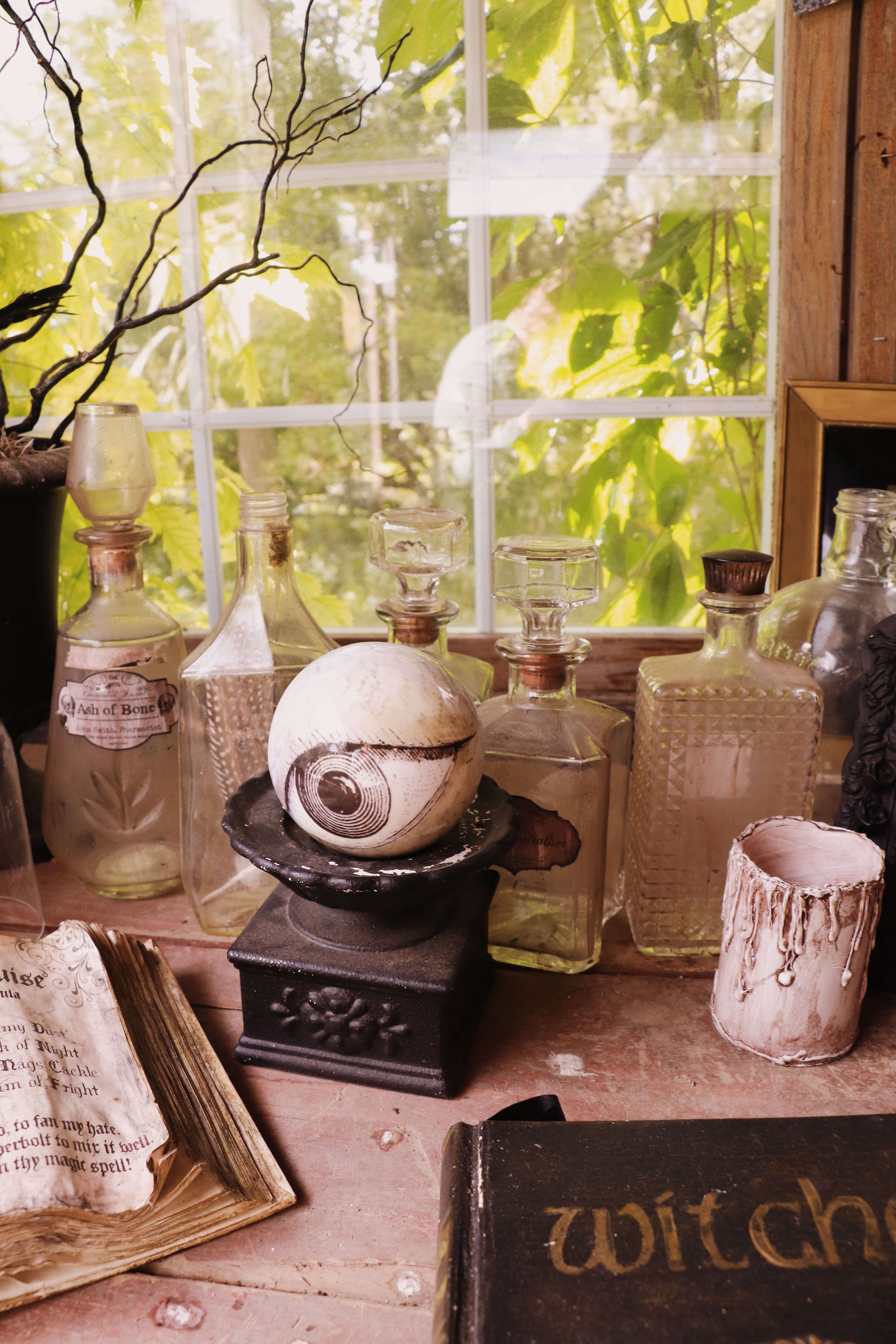 8 x 10 ◦ Hocus Pocus