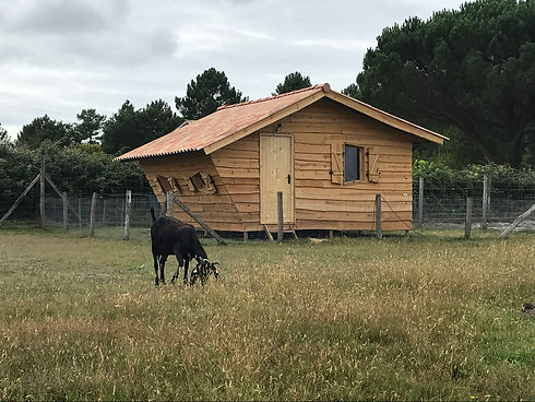 Location cabane Le Porge - Parenthèse Nature.JPG
