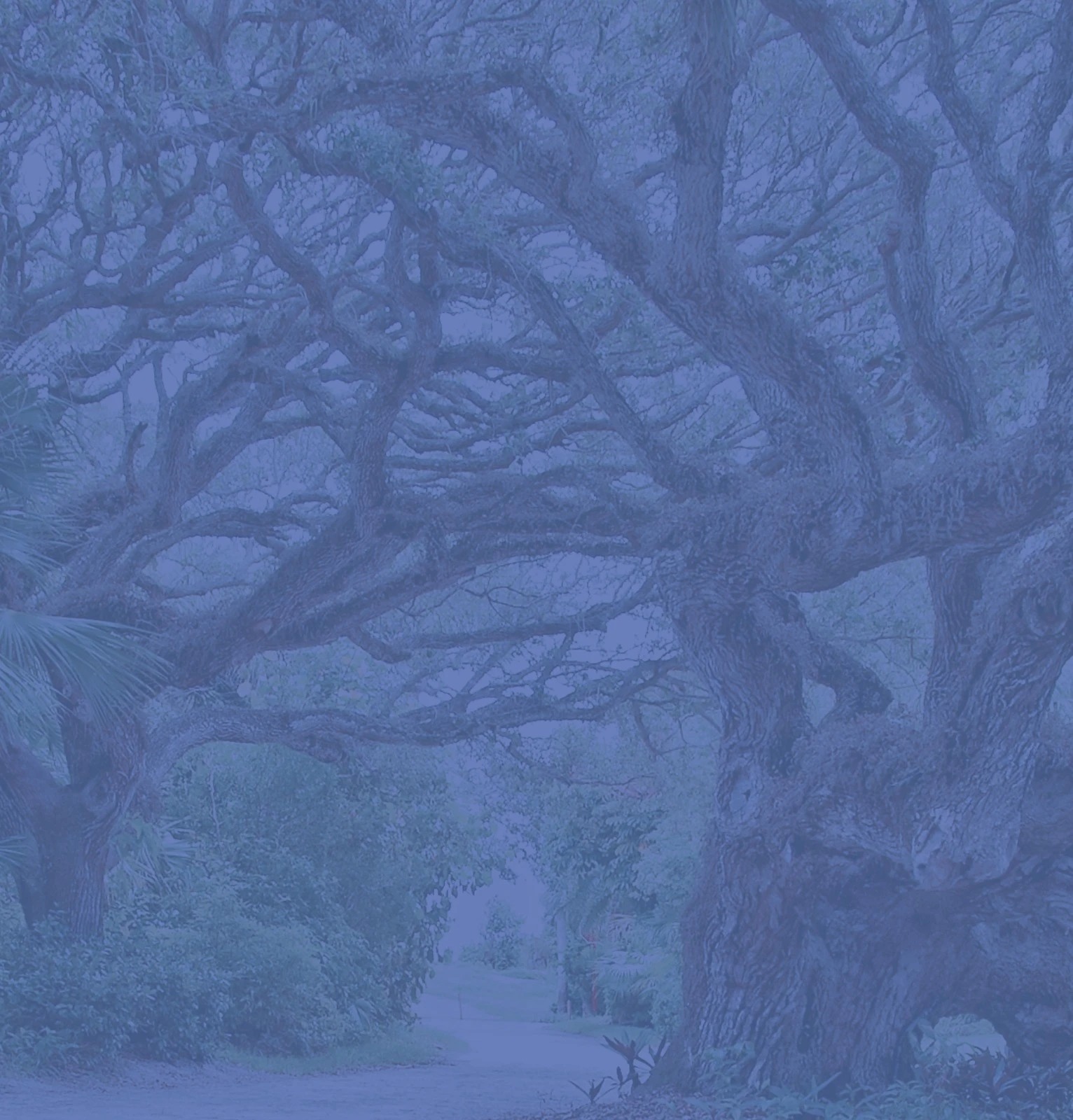 Screen Shot 2023-08-22 at 4.49.34 PM.webp