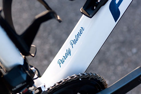 Purely Palmer custom Franco Bike