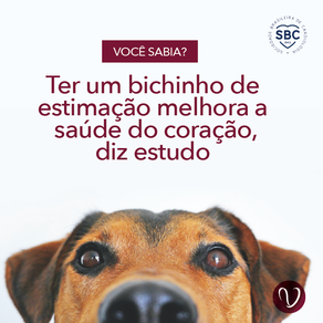 Ter um bichinho de estimação melhora a saúde do coração