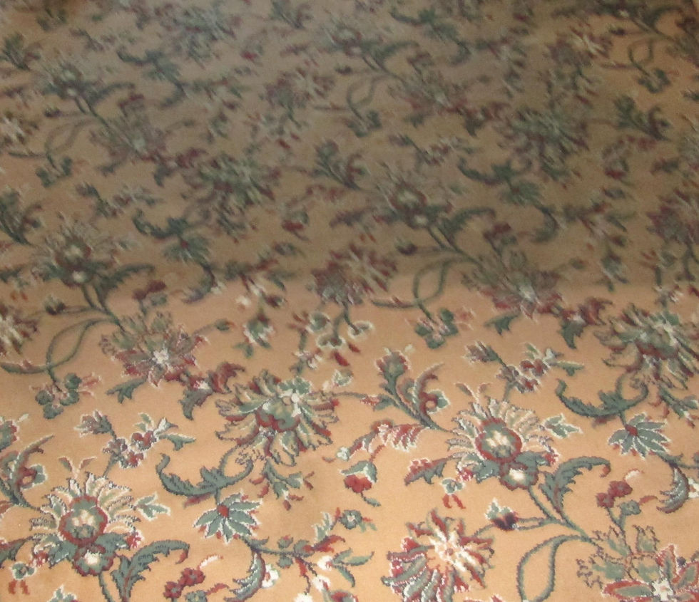 Carpet Cleaners Hull Cleanmaster 07776552706