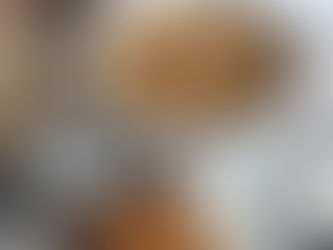 From Fearful to Fearless: My Journey to Pursuing My Dreams